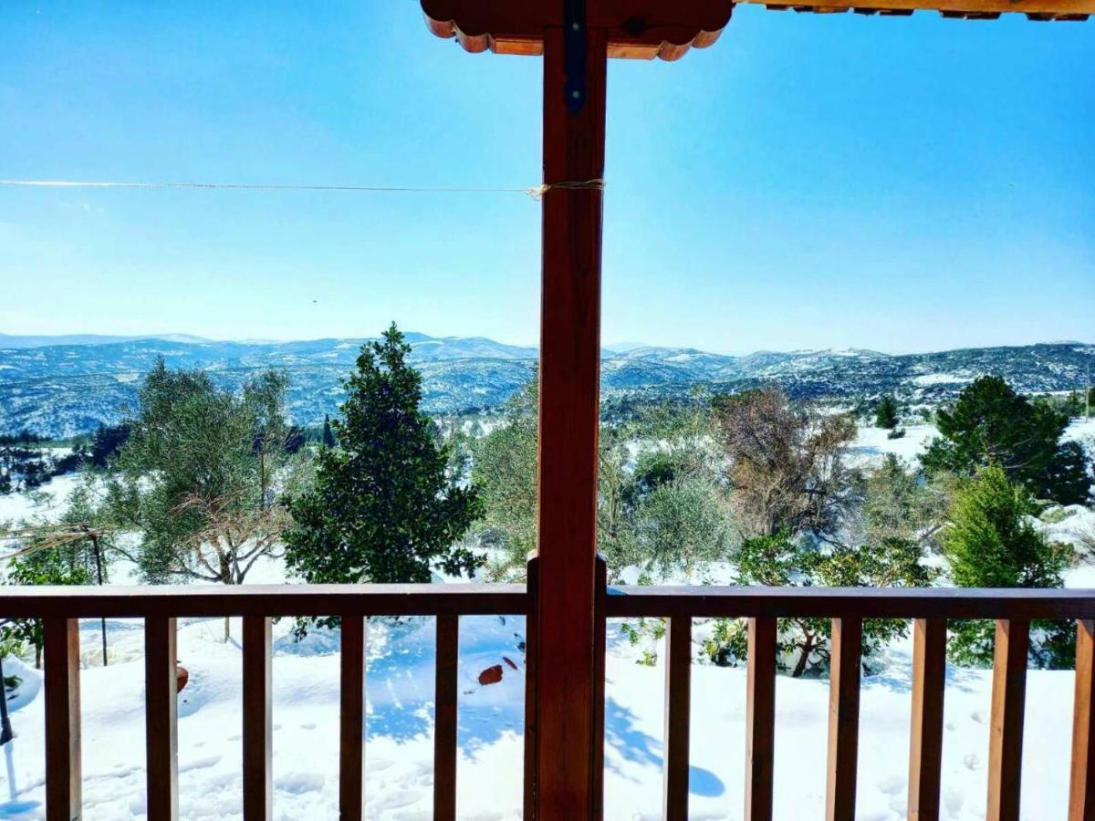πηλιο διονυσια Appartement Syki